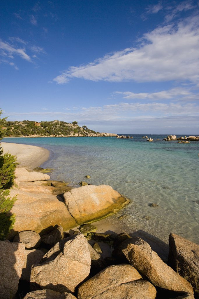 Detail of Beach near Porto Novo gulf, Corsica, France by Anonymous