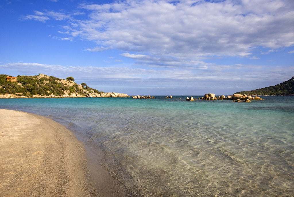 Detail of Beach near Porto Novo gulf, Corsica, France by Anonymous