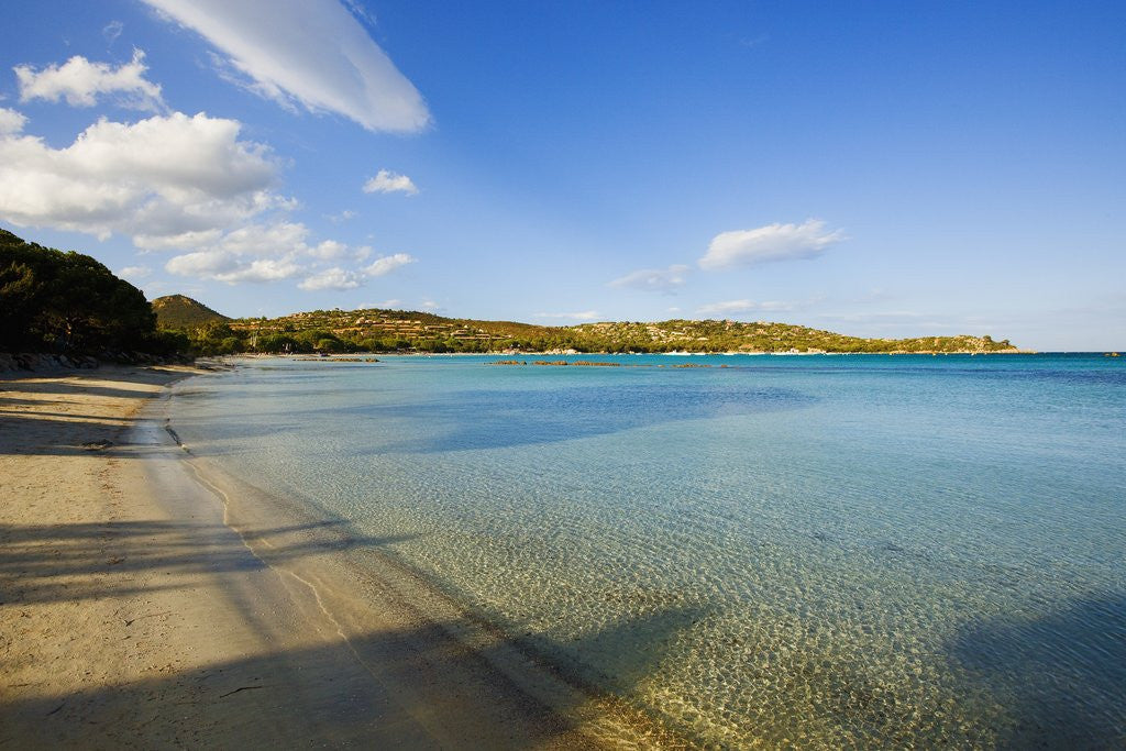 Detail of View of Santa Giulia bay, Corsica, France by Corbis