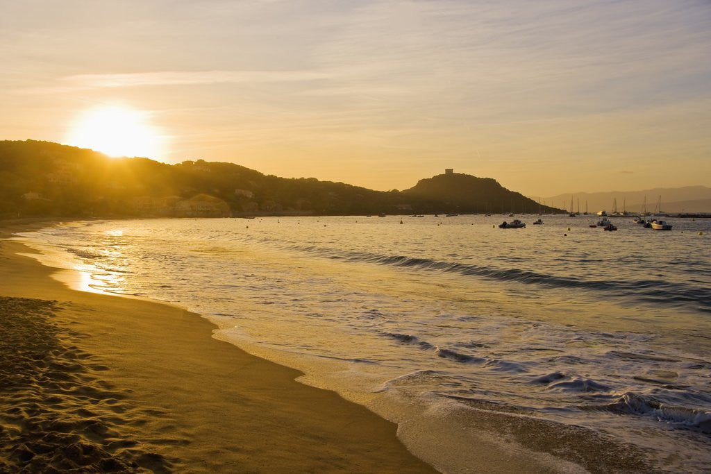 Detail of Beach, bay and Cape of Campomoro at sunset, Corsia, France by Anonymous