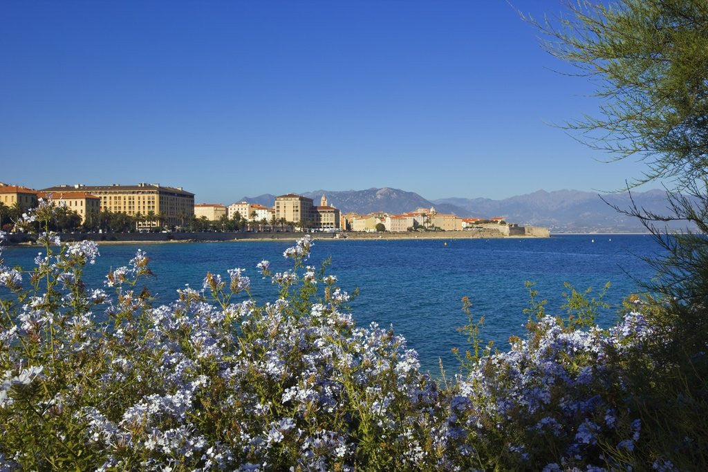 Detail of View of town from Lantivy seaside, Ajaccio, Corsica, France by Anonymous