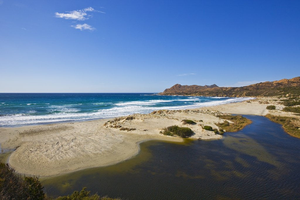 Detail of View near Ostriconi beach, Corsica, France by Anonymous