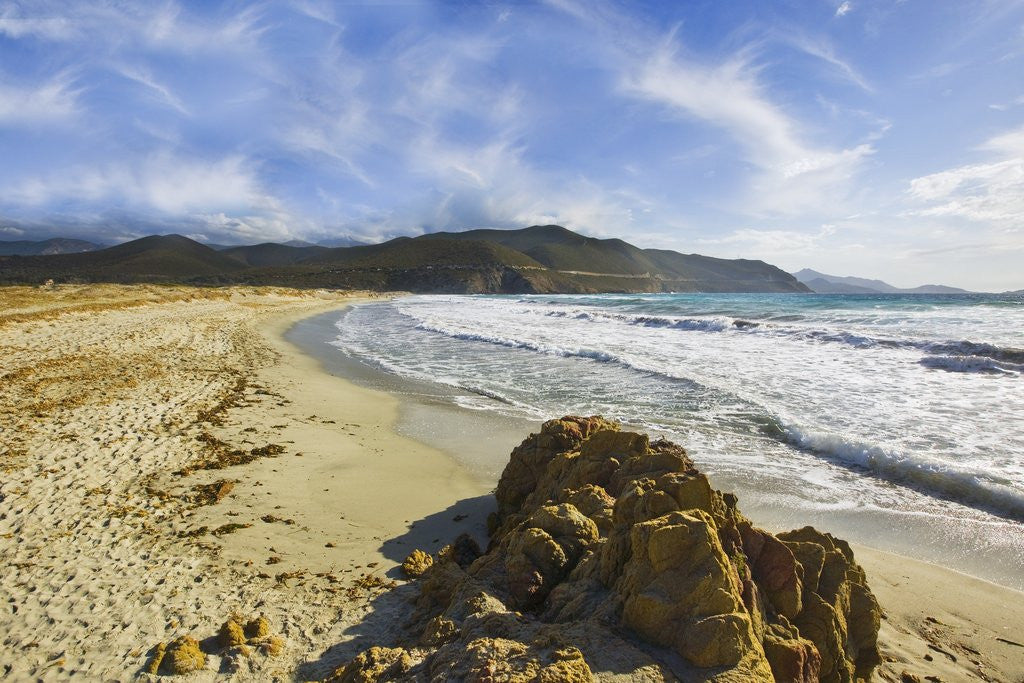 Detail of View near Ostriconi beach, Corsica, France by Anonymous