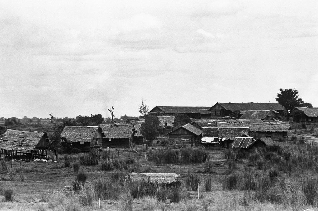 Detail of Camp O'Donnell by Anonymous