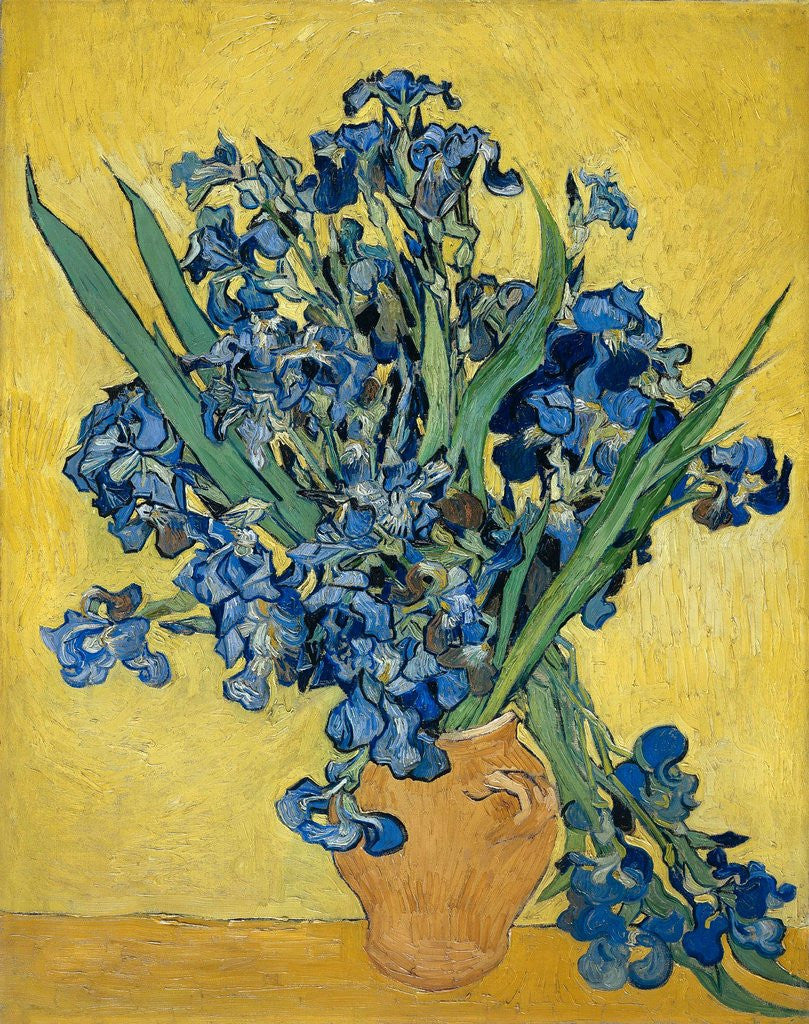 Detail of Irises by Vincent Van Gogh