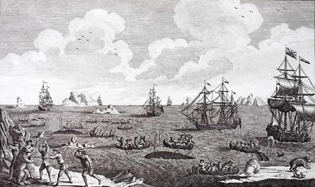 Detail of Whaling in the 18th century. A British naval squadron in the Arctic by Anonymous