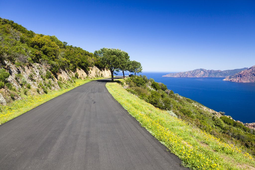 Detail of Road by the blue sea by Anonymous