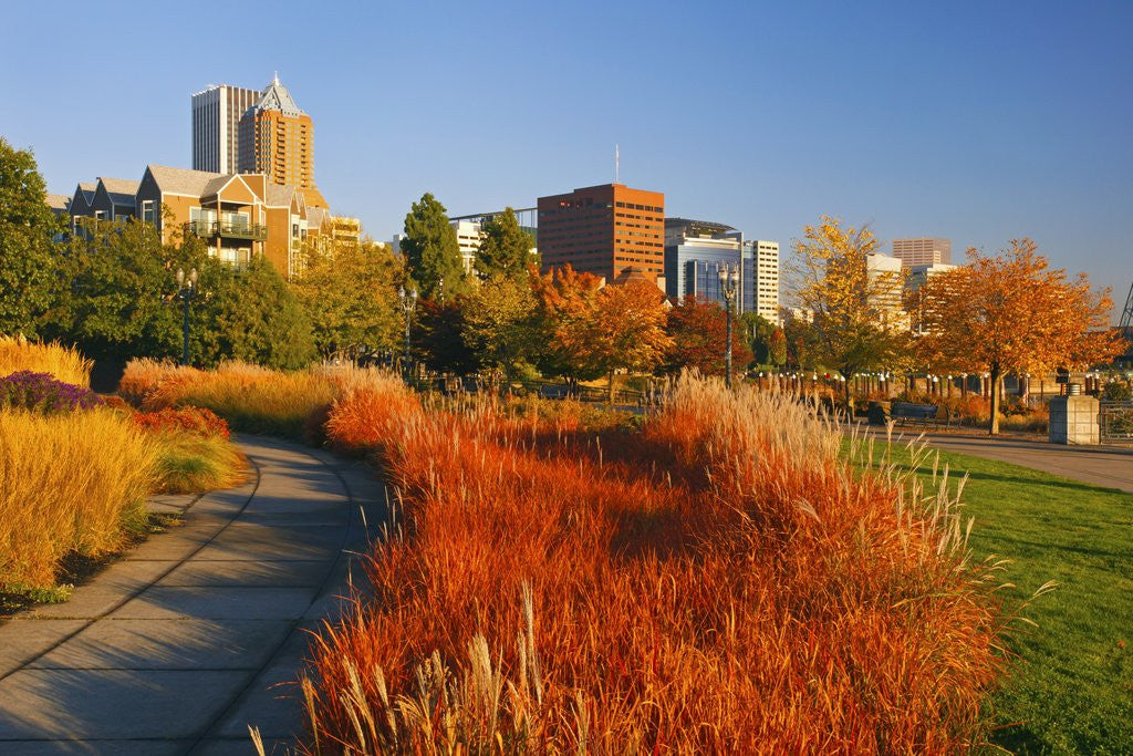 Detail of The Garden at South Waterfront Park, Portland Oregon. Pacific Northwest by Anonymous
