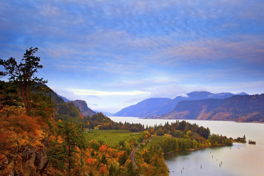 Detail of sunrise over Columbia River, Columbia River Gorge National Scenic Area, Oregon, Pacific Northwest by Corbis