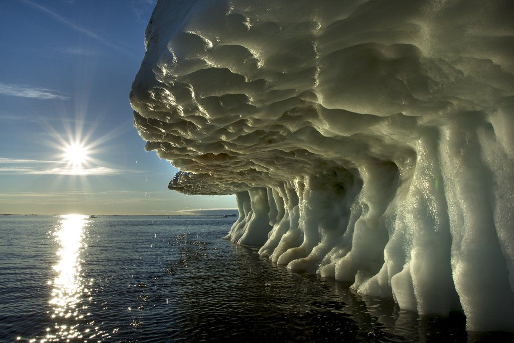 Detail of Sea Ice, Hudson Bay, Canada by Anonymous