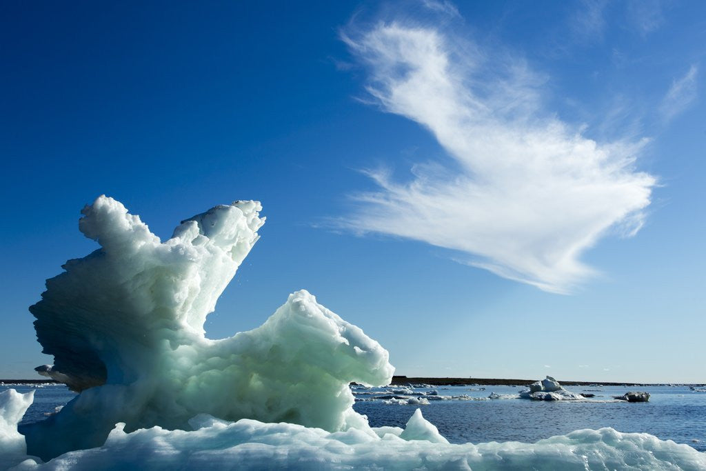 Detail of Sea Ice, Hudson Bay, Canada by Anonymous