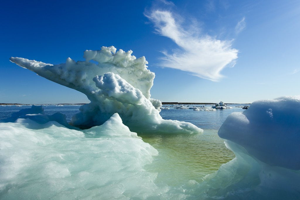 Detail of Sea Ice, Hudson Bay, Canada by Anonymous