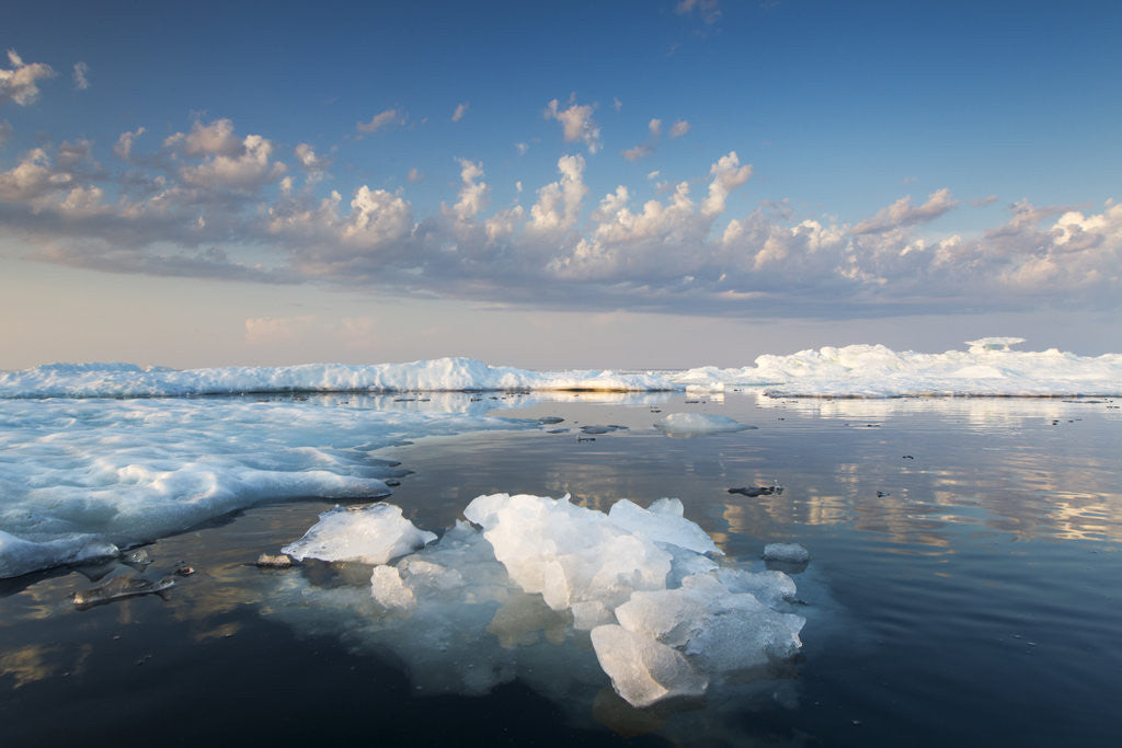 Detail of Melting Sea Ice at Sunset, Hudson Bay, Canada by Anonymous