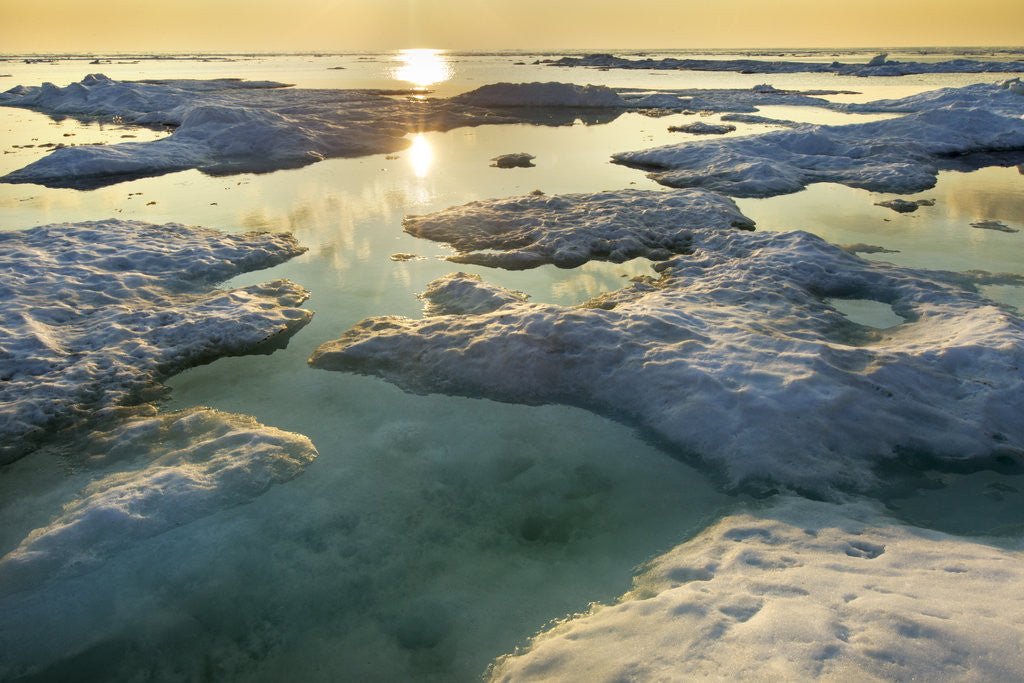 Detail of Melting Sea Ice at Sunset Hudson Bay, Canada by Anonymous