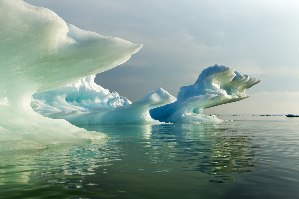 Detail of Melting Icebergs, Hudson Bay, Canada by Anonymous