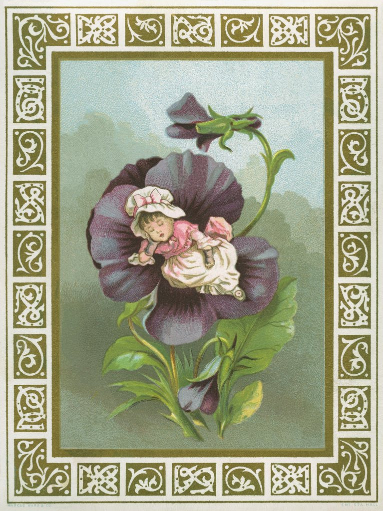 Detail of Baby girl asleep in pansy by Anonymous