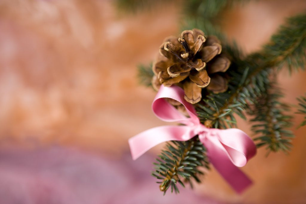 Detail of Close-up of Christmas decorations against blurred background by Anonymous