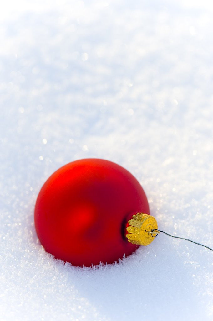 Detail of Close-up of a red Christmas bauble on snow by Anonymous