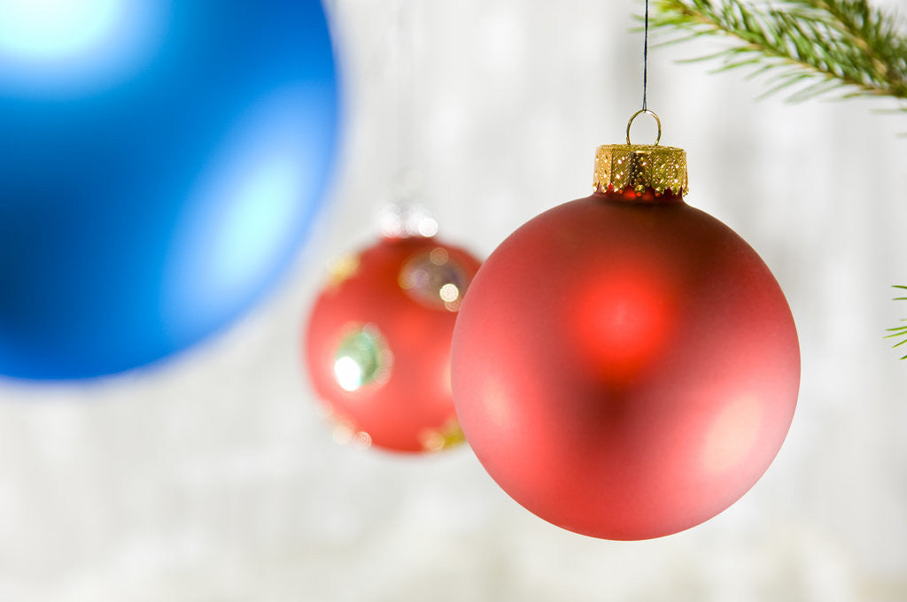 Detail of Close-up of hanging red and blue Christmas baubles by Anonymous
