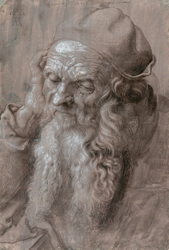 Detail of Head of an Old Man by Albrecht Dürer