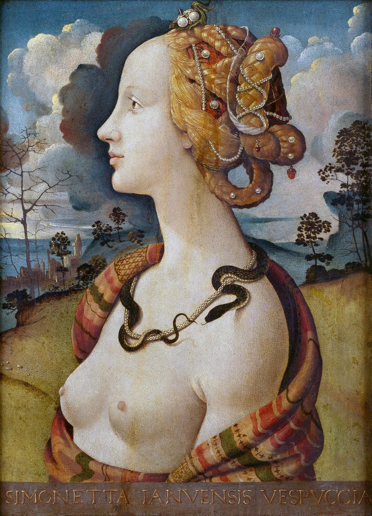 Detail of Portrait of Simonetta Vespucci by Piero di Cosimo