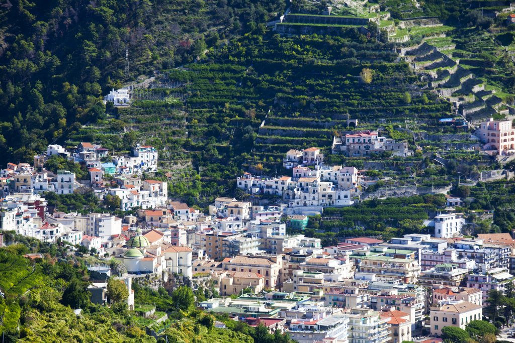 Detail of Vista from Hillside Town of Ravello of the Town of Minori below by Anonymous