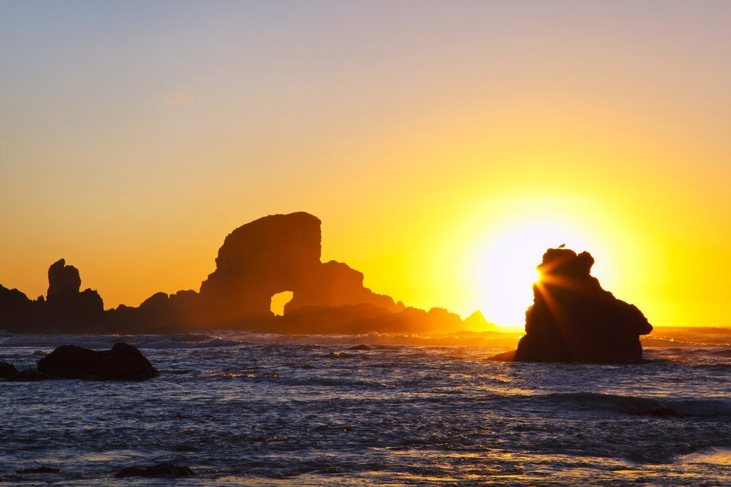 Detail of Sunset along Arch Rock, Ecola State Park, Oregon Coast, Pacific Northwest, United States by Anonymous