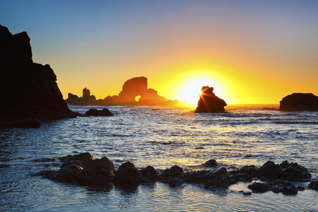 Detail of Sunset along Arch Rock, Ecola State Park, Oregon Coast, Pacific Northwest, United States by Anonymous