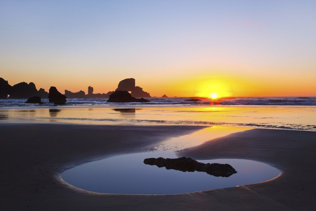 Detail of Sunset along Arch Rock, Ecola State Park, Oregon Coast, Pacific Northwest, United States by Anonymous