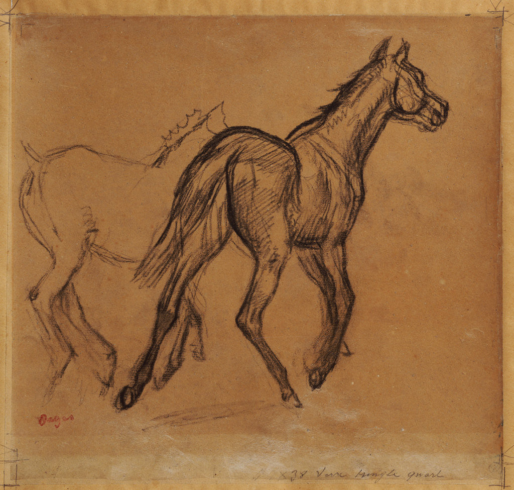 Detail of Horses by Edgar Degas