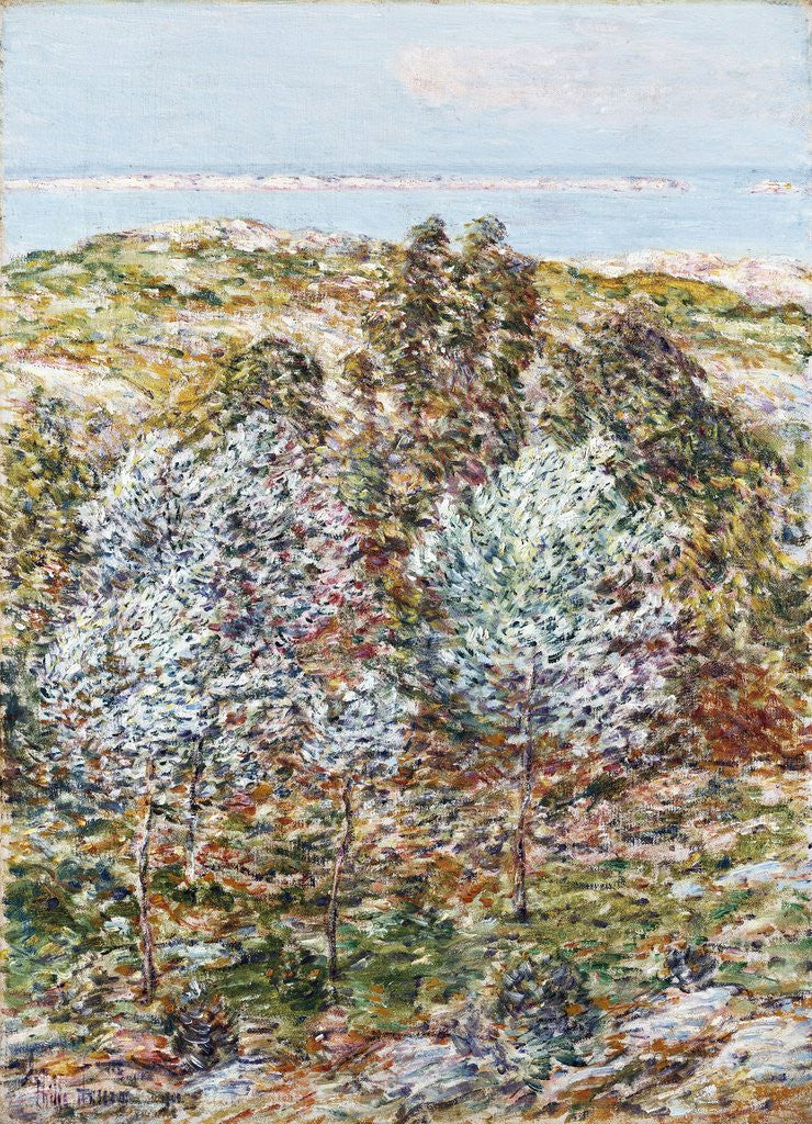 Detail of Springtime Vision by Frederick Childe Hassam