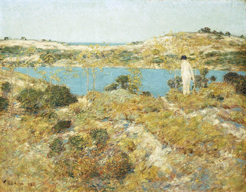 Detail of Dune Pool by Frederick Childe Hassam