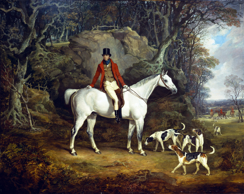 Viscount Rowland Hill on his Grey Hunter with the Shropshire Hunt by Richard Jones