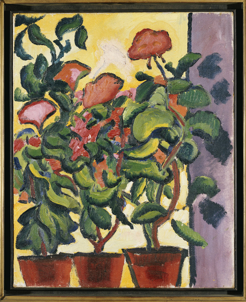 Detail of Geranium at the Window by Auguste Macke