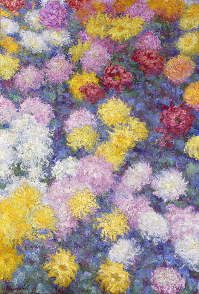 Detail of Chrysanthemums by Claude Monet