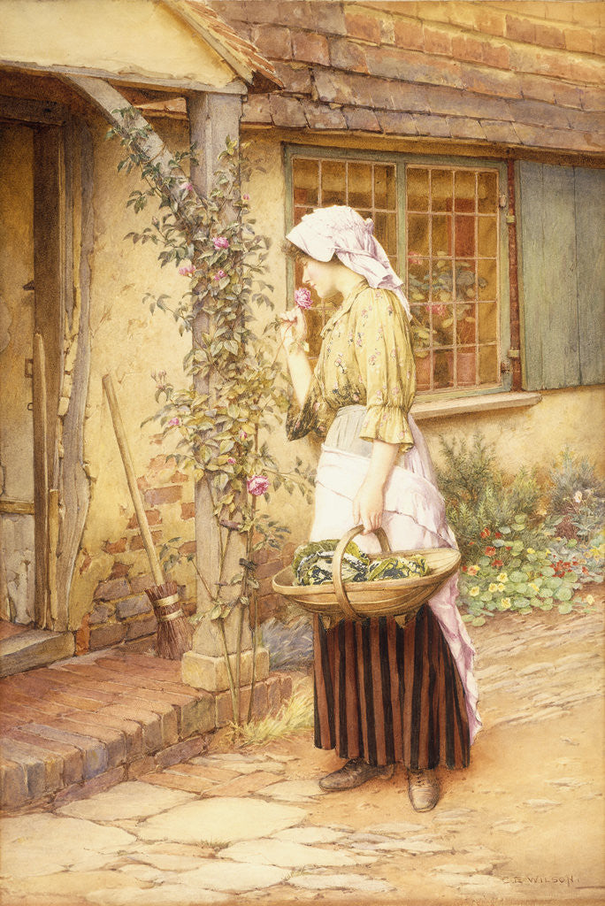 Detail of The Sweetest Rose by Charles Edward Wilson