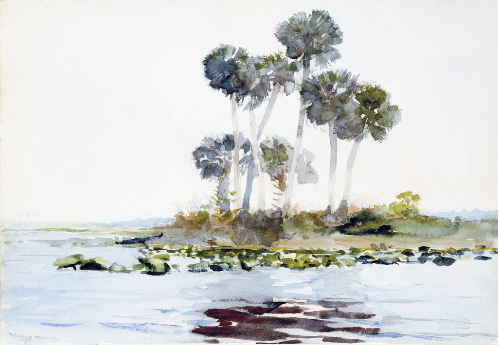 Detail of St. Johns River, Florida by Winslow Homer