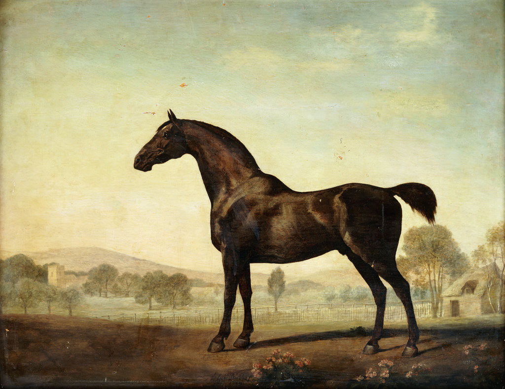 Detail of Sweetwilliam, a Bay Racehorse, in a Paddock by George Stubbs