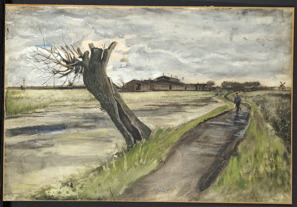 Detail of Pollard Willow by Vincent Van Gogh