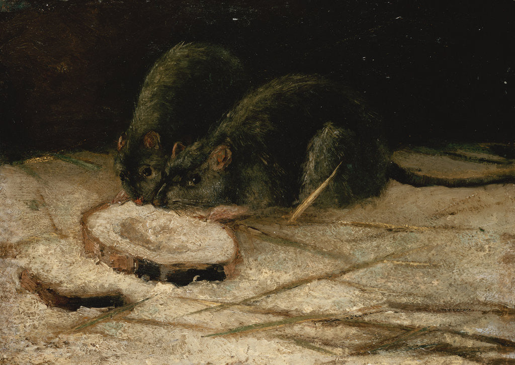 Detail of Two Rats by Vincent Van Gogh