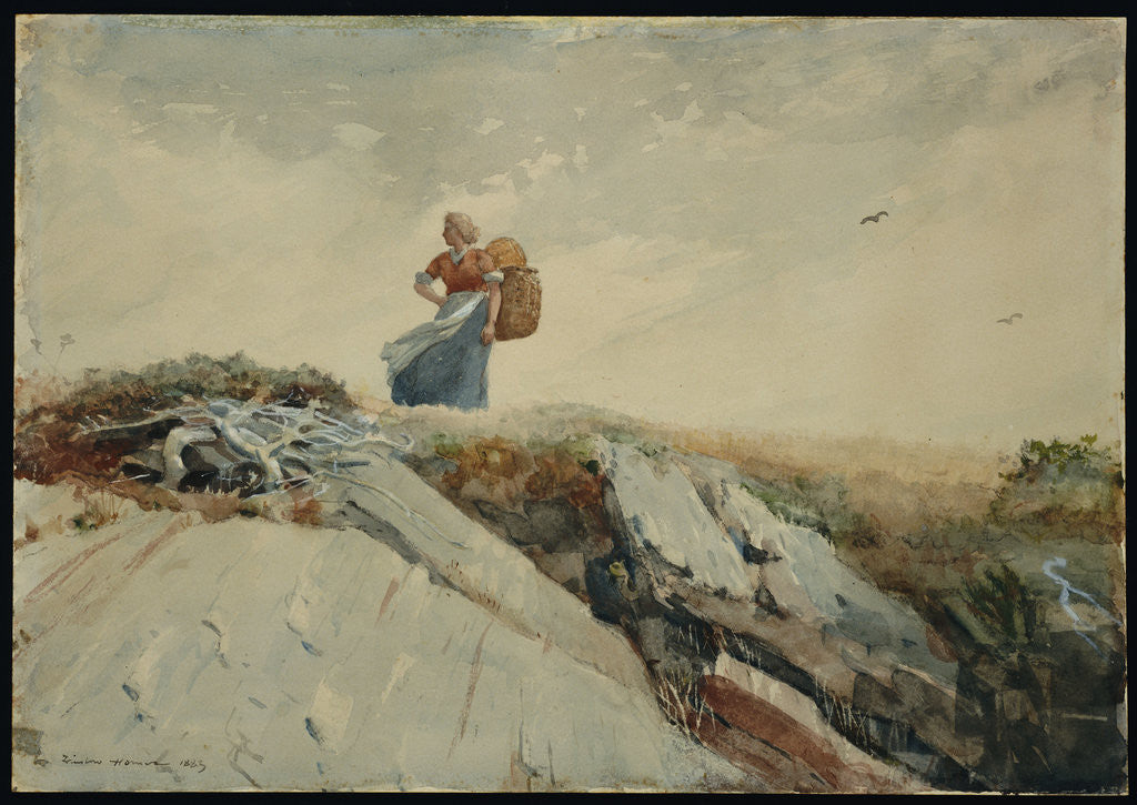 Detail of Down the Cliff by Winslow Homer
