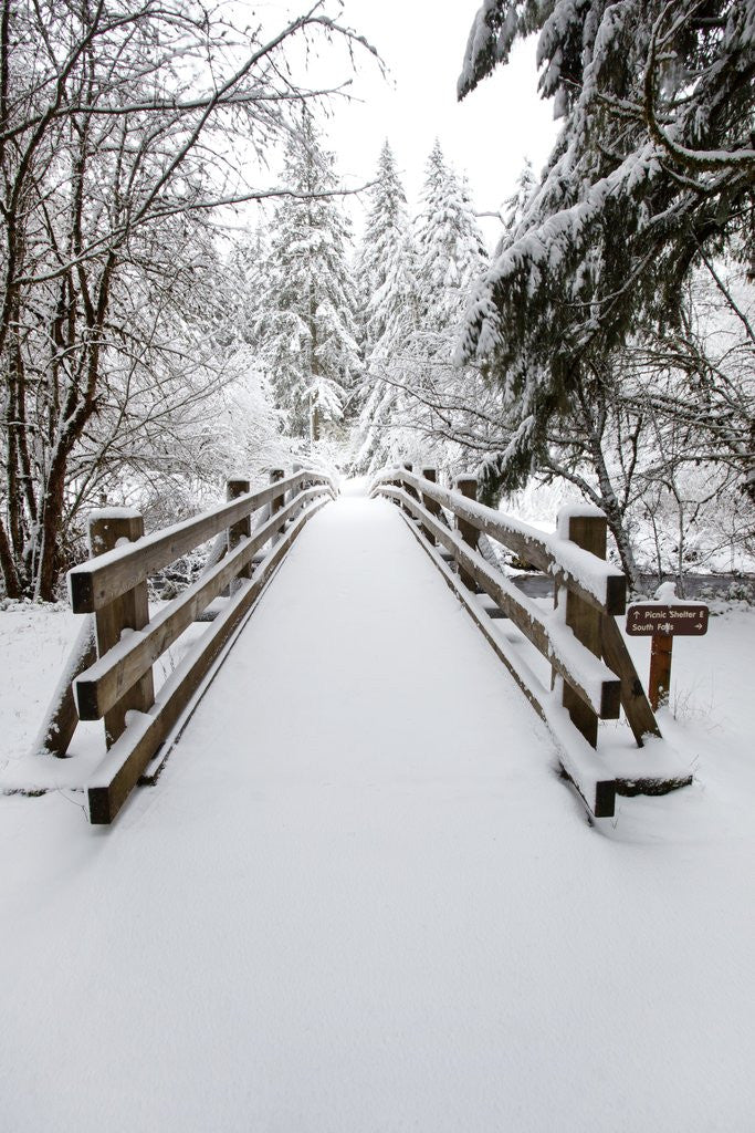 Detail of Footbridge covered in snow, Silver Falls State Park, Oregon, USA by Anonymous