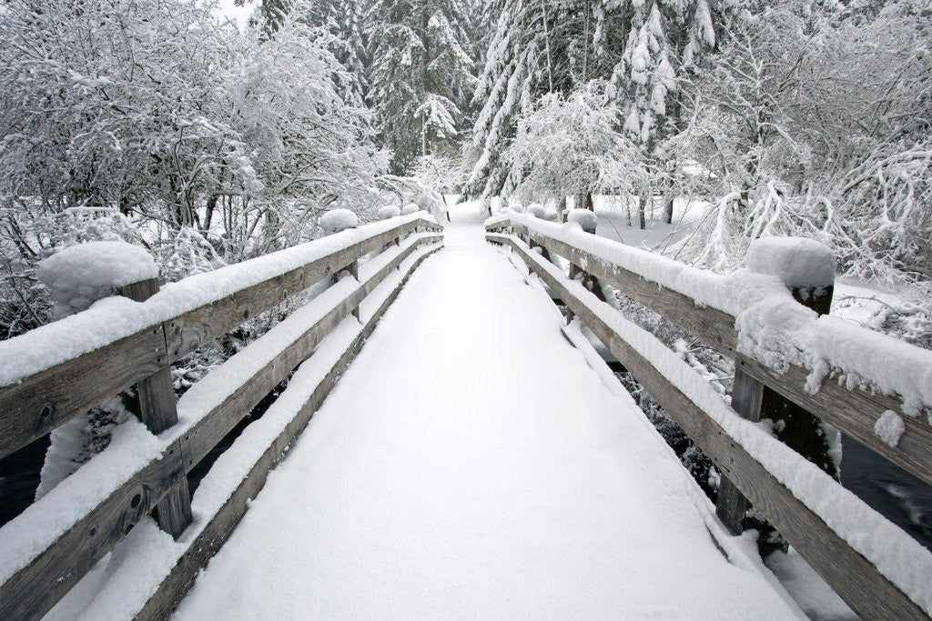Detail of Footbridge covered in snow, Silver Falls State Park, Oregon, USA by Corbis