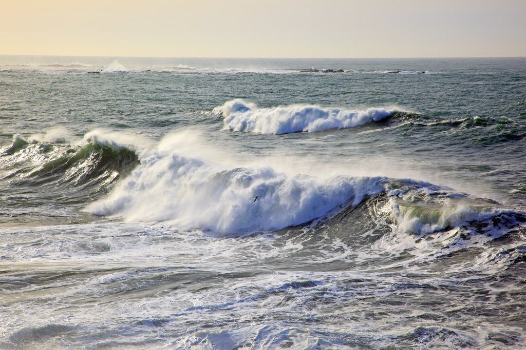 Detail of Winter storm waves crash on headline at Shore Aceres State Park, Oregon, USA by Anonymous