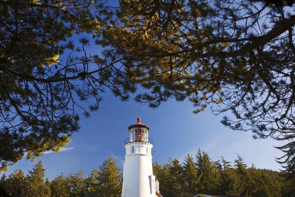 Detail of Ampqua Lighthouse, Oregon, USA by Anonymous