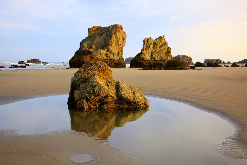 Detail of Sunrise tide pools at low tide, Bandon Beach, Oregon, USA by Anonymous