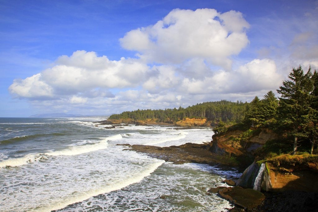 Detail of Boiler Bay State Park, Oregon, USA by Corbis