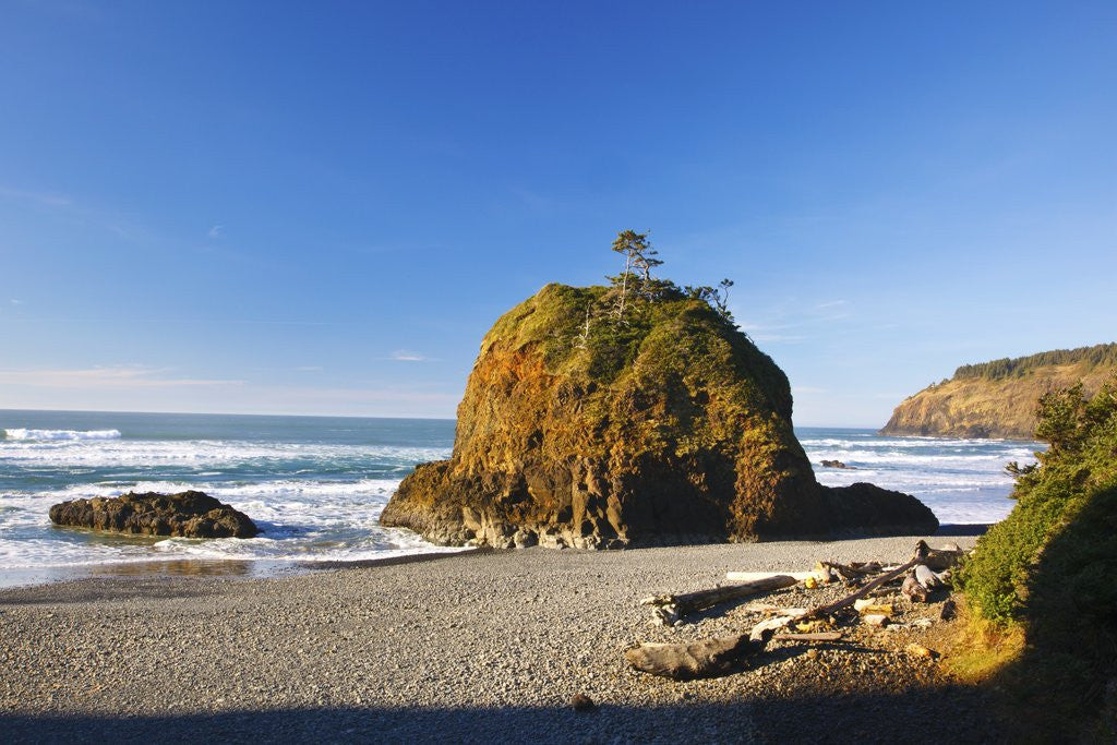 Detail of Rock formations at Short Beach with Cape Meares, Oregon, USA by Anonymous