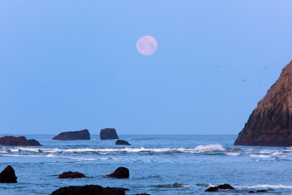 Detail of Moon set over rock formations at low tide, Bandon Beach, Oregon, USA by Corbis