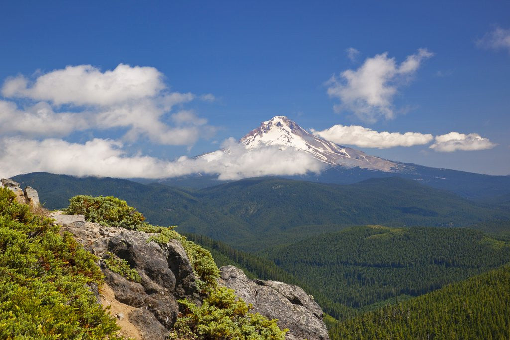 Detail of Mt. Hood, Mt. Hood National Forest, Oregon, USA by Anonymous
